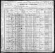 1900 Census for Caroline Rosalia Holum in Spring Grove, Houston, Minnesota, United States. 