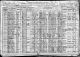 1920 Census for head Malene Helgesdatter Egenæs in Comfort, Kanabec, Minnesota, United States.