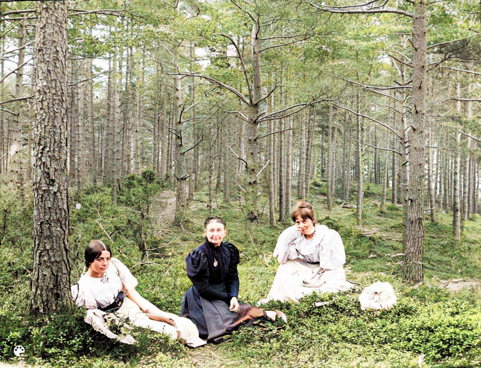 Bildet er tatt i skogen ved Hogganvik i Ryfylke 1886.