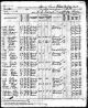 1895 Census for Bernhardus Arnaldus von Krogh in Spring Grove, Houston, Minnesota, United States.